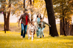 AdobeStock 175203895 1 scaled