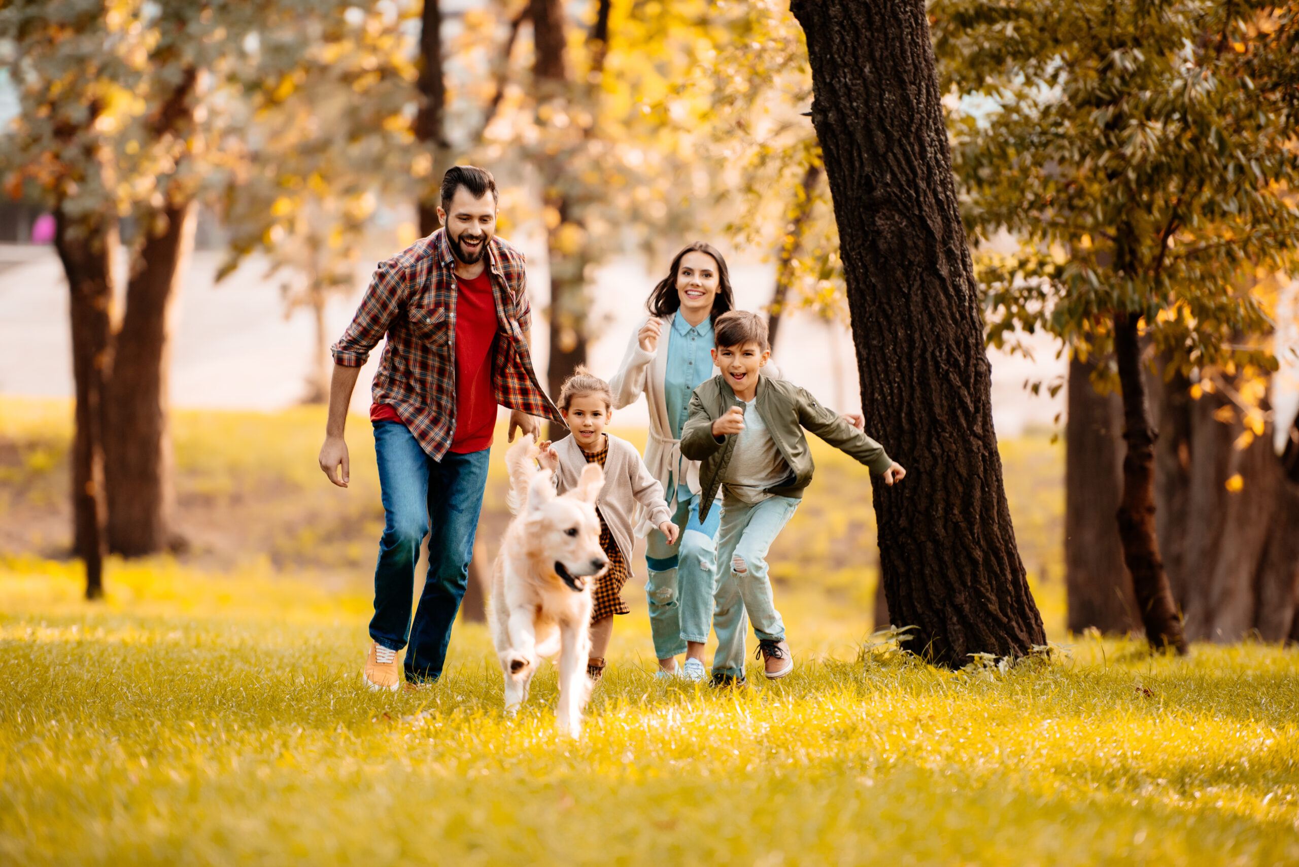 AdobeStock 175203895 1 scaled