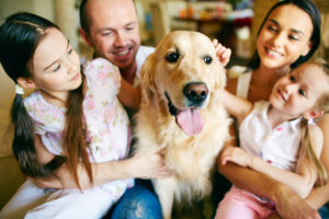 AdobeStock 65803049 scaled
